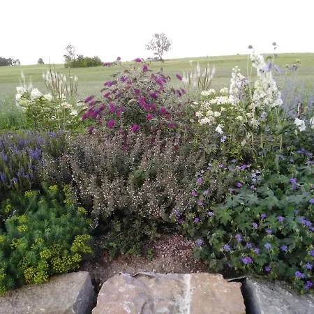 Апартаменты Eva's *