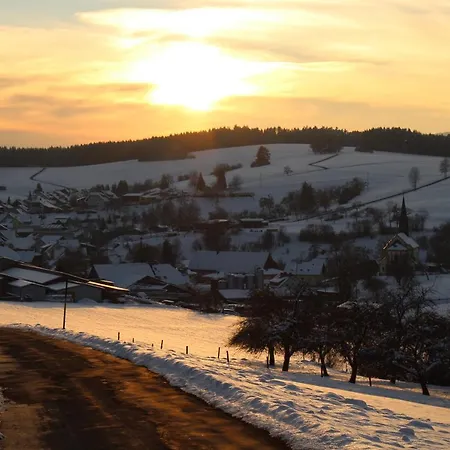 Апартаменты Eva's Бондорф (Шварцвальд)